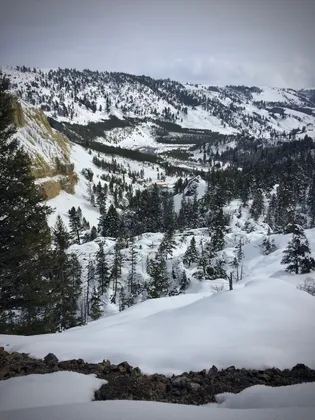 Winter Views of Yellowstone's Grand Canyon  